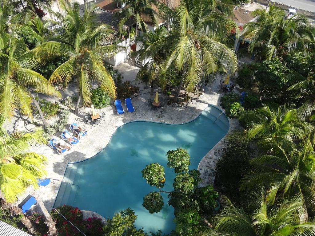 Turtle Cove Inn Rum bild