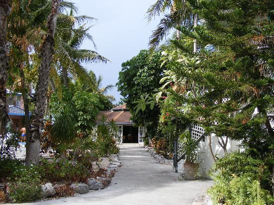 Turtle Cove Inn Exteriör bild